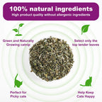 100% Natural Catnip