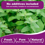 100% Natural Catnip